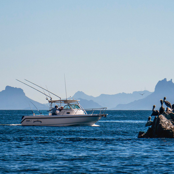 Pesca en Sonora